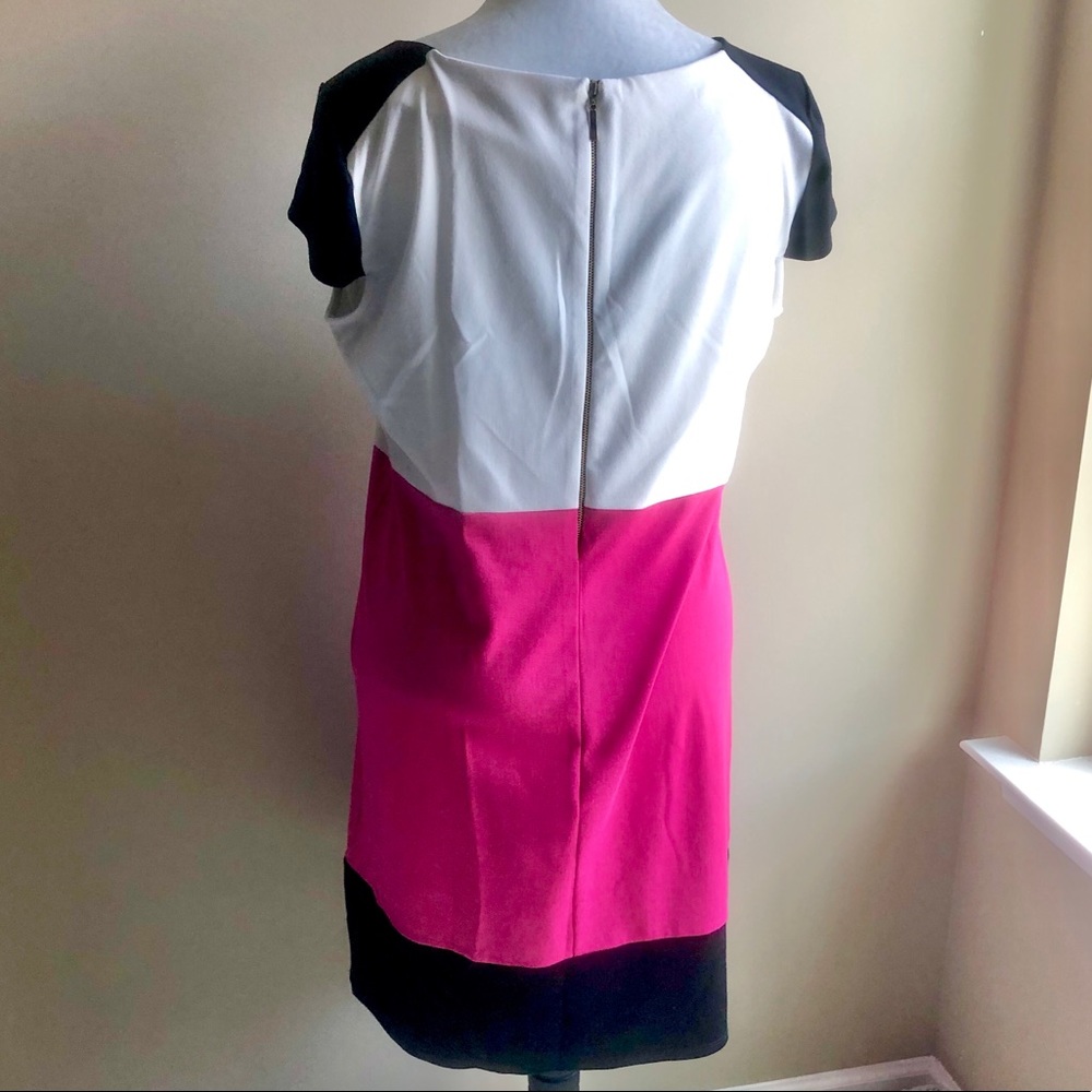 Sunny Leigh Colorblock Dress - Picture 3 of 4
